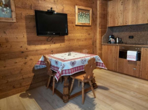 APPARTAMENTO STELLA ALPINA Cortina D'ampezzo